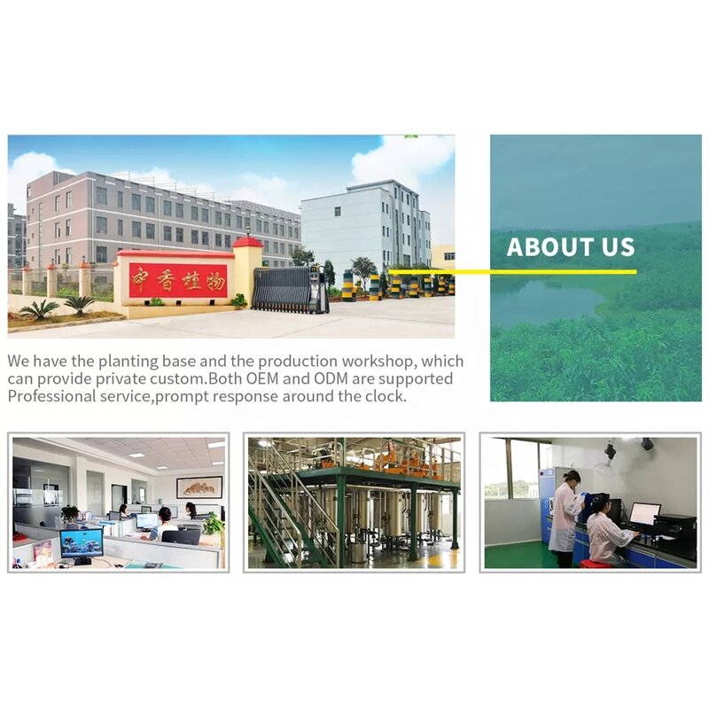 Hair Oil - 2025 Hot Sell 50ml Natural Herbal for Baby Nourishing Strengthen