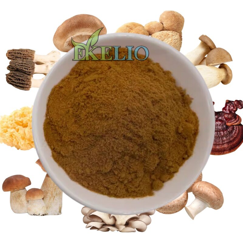 Maitake Mushroom Extract Powder Manufacturer - Wholesales Polysaccharides Grifola Frondosa