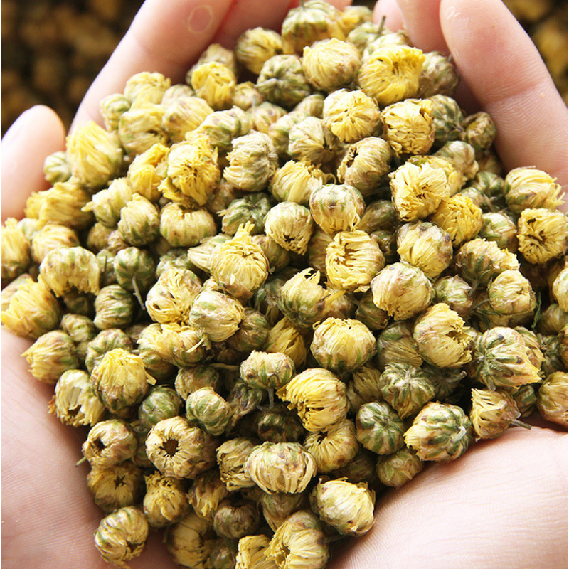Dried Chrysanthemum Tea Manufacturer - Natural Bulk Good Taste Chrysanthemum Buds