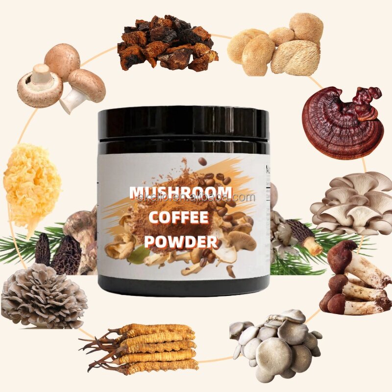 Mushroom Coffee Powder Manufacturer - Reishi Shitake Lion's Mane Mixed Extract Powder