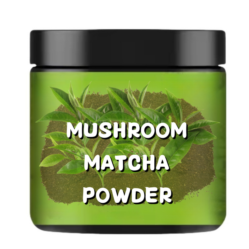 Mushroom Extract Powder Manufacturer - Bulk Blend Lions Mane, Reishi, Cordyceps, Chaga, Shiitake