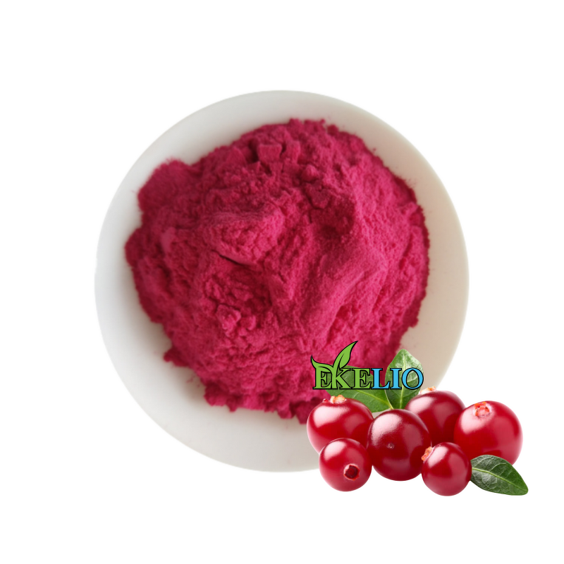 Cranberry Capsules Manufacturer - Health Supplement Fruit Extract with Probiotics Powder
