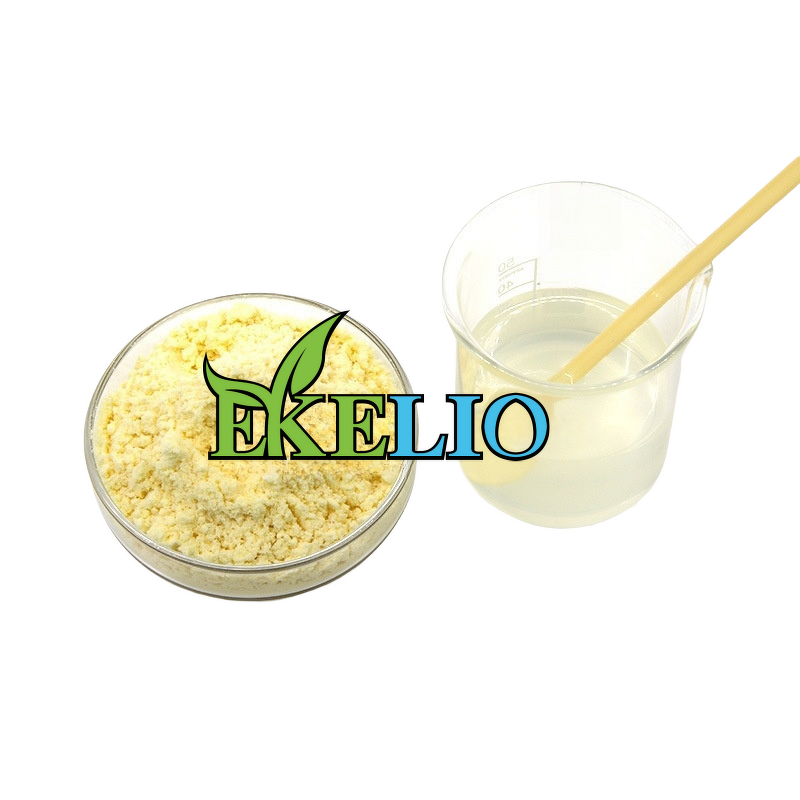 Oolong Tea Extract Powder Manufacturer - Bulk Instant Natural Water Soluble