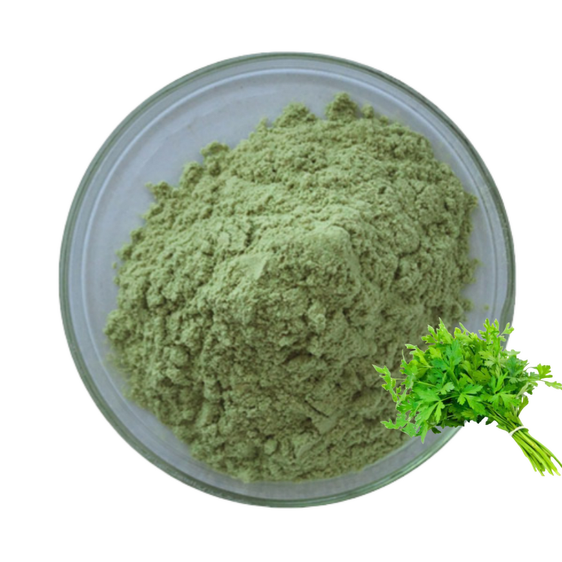 Parsley Leaves Extract Powder Manufacturer - High Quality Petroselinum Crispum Herbal Leaf Extract