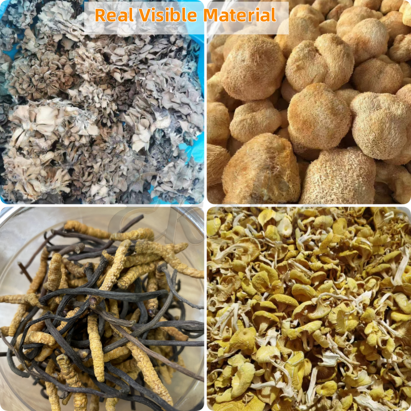 Black Maca Root Extract Powder Manufacturer - Natural Organic 10:1 20:1 Coffee