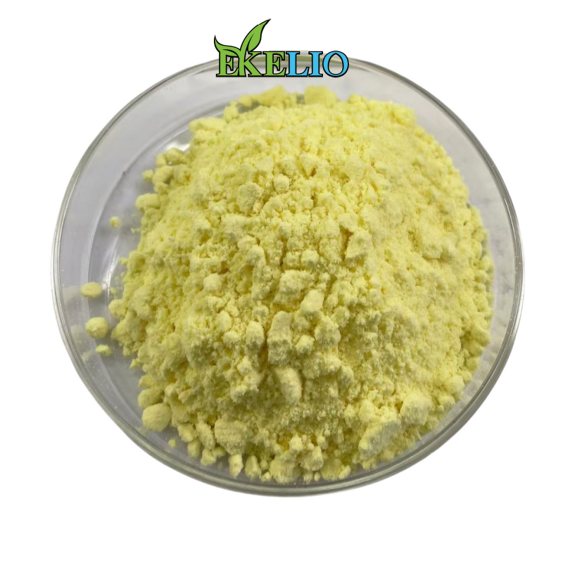 Curcumin Powder Manufacturer - Water Soluble Supplement Turmeric Root Extract 95%