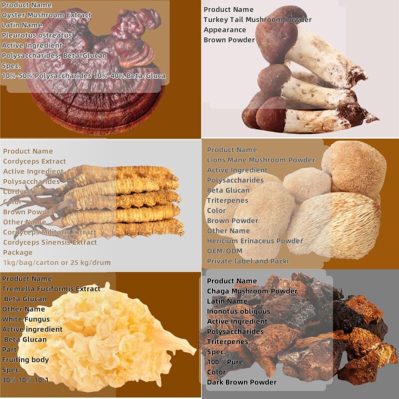 Tremella Mushroom Extract Manufacturer - Selenium Enriched Fuciformis Polysaccharides