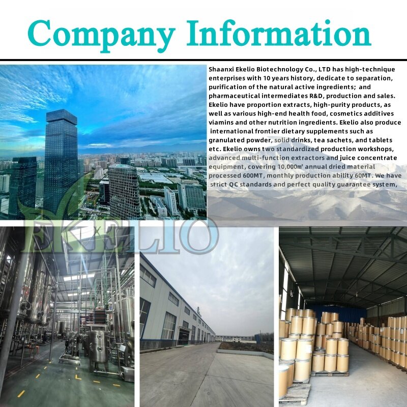 Lemongrass Powder Manufacturer - High Quality Herbal Tea & Coffee Extract