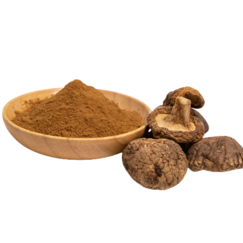 Shiitake Mushroom Extract Powder Manufacturer - Bulk Sale Polysaccharides Powder