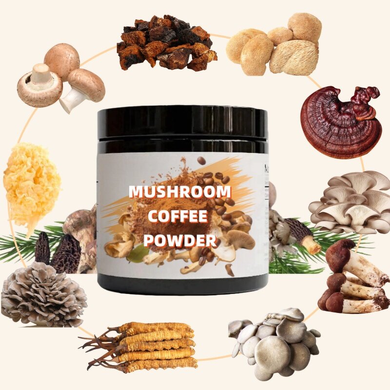 Maitake Mushroom Extract Powder Manufacturer - Wholesales Polysaccharides Grifola Frondosa