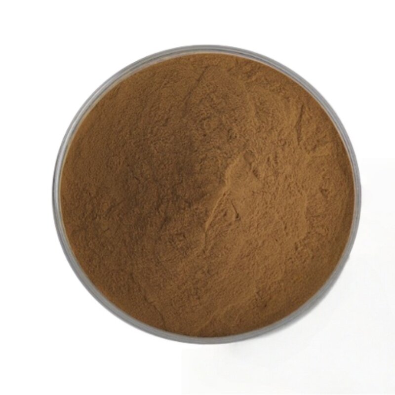 Acmella Oleracea Extract Powder Manufacturer - High Quality Spilanthes Acmella Flower Extract