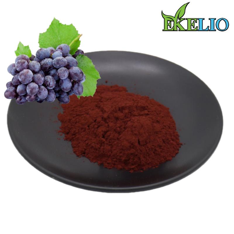 Red Beetroot Extract Powder Manufacturer - Super Food Spray Dried Juice Pigment Color 10:1 20:1