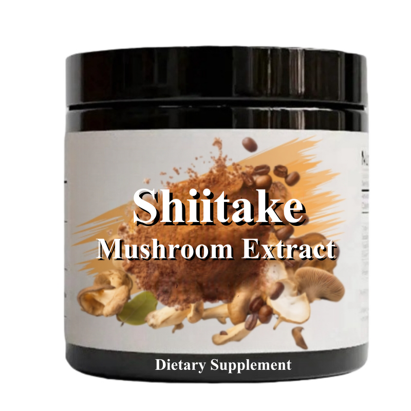 Mushroom Extract Powder Manufacturer - Bulk Blend Lions Mane, Reishi, Cordyceps, Chaga, Shiitake