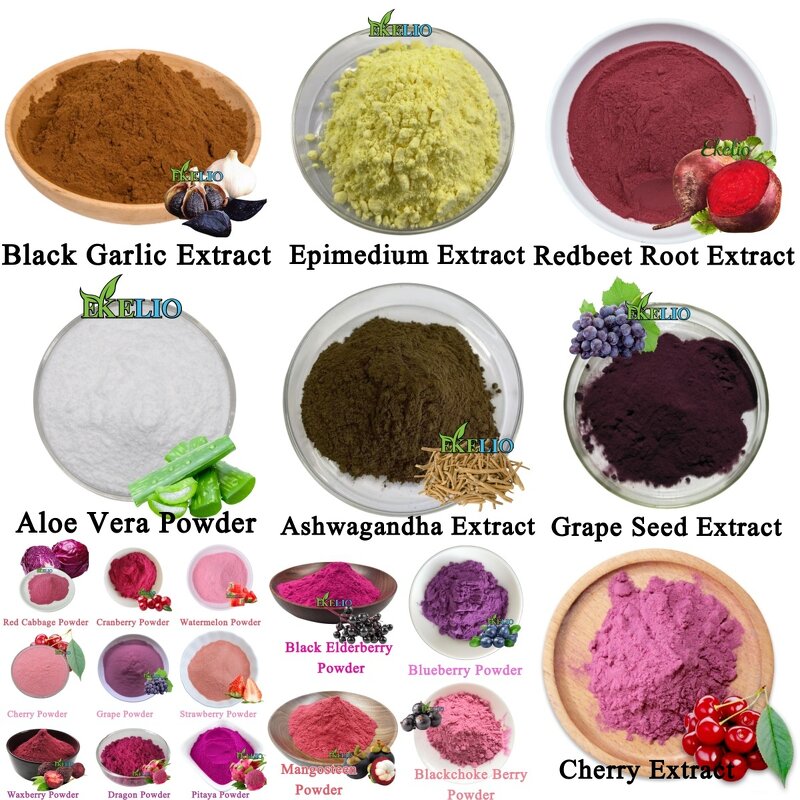 Acmella Oleracea Extract Powder Manufacturer - High Quality Spilanthes Acmella Flower Extract