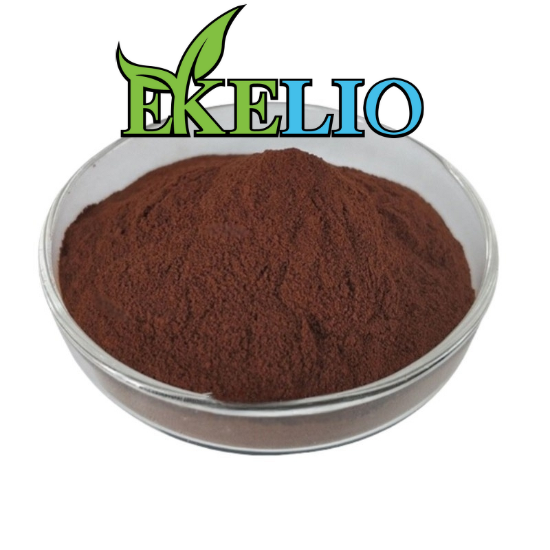 Black Tea Extract Powder Manufacturer - Natural Water Soluble Instant