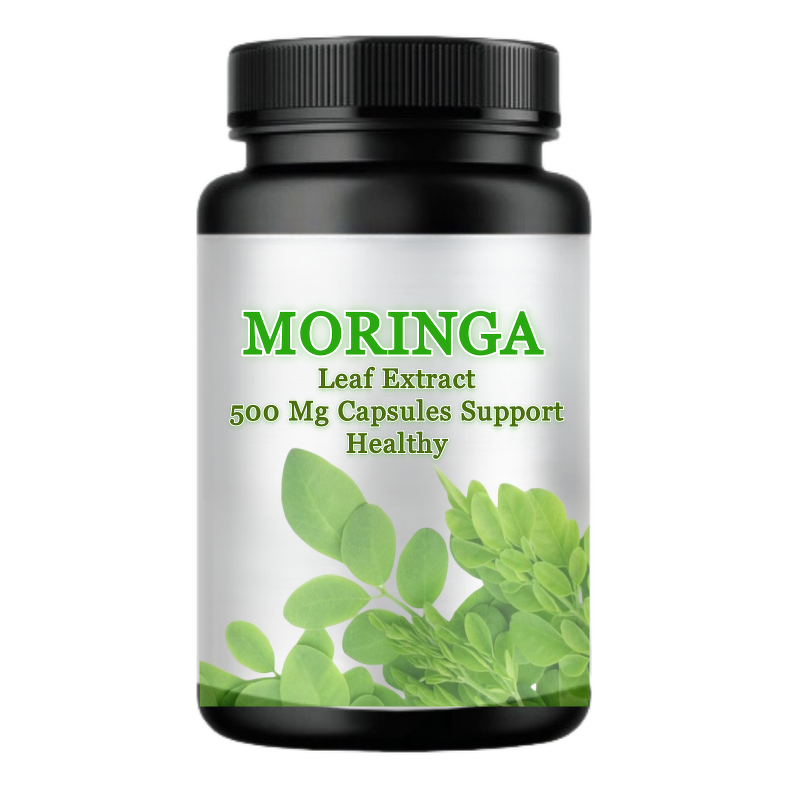 Spongilla Lacustris Extract Manufacturer - Cosmetic Grade Spicule Sponge Bio Microneedling Powder