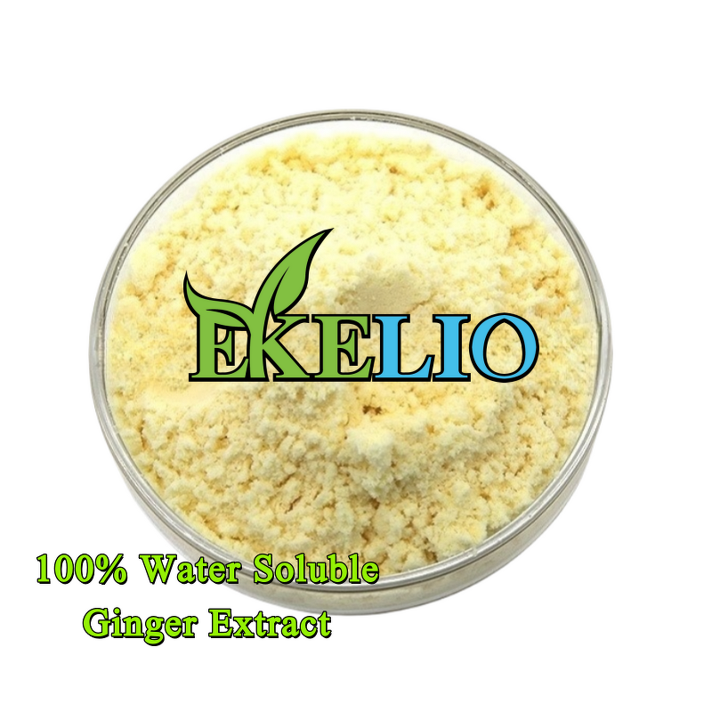 Carrot Extract Powder Manufacturer - Natural 10% 20% 30% Beta Carotene Food Grade
