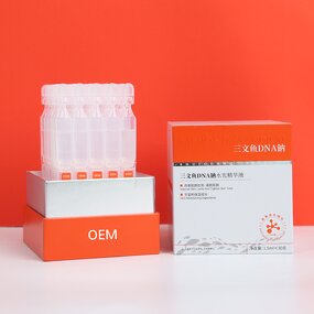 Face Serum Manufacturer - PDRN Salmon DNA 20pcs - Hydrating Firming Collagen Boost Skincare Products