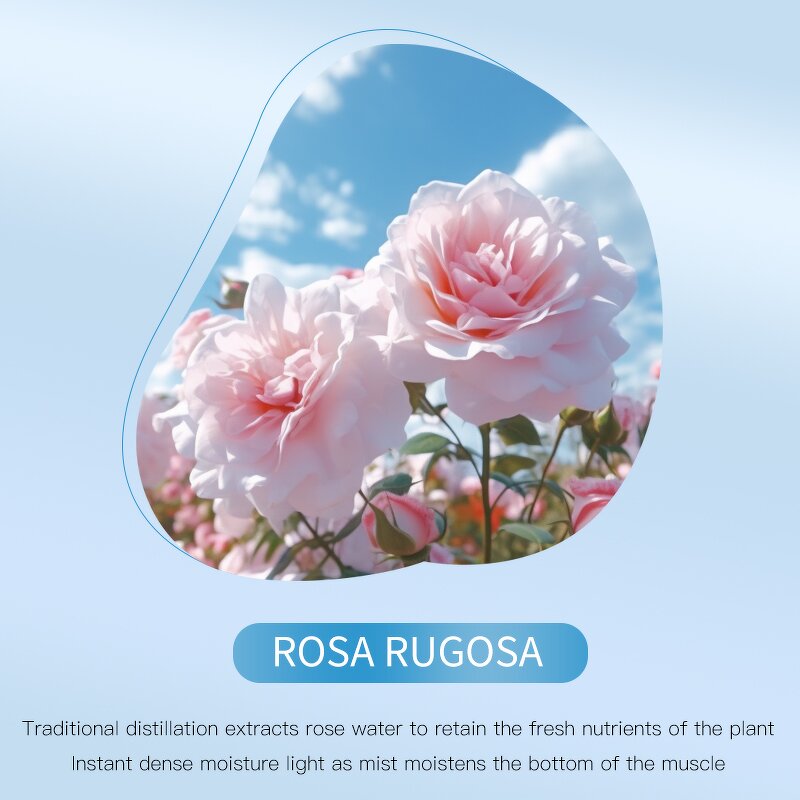 Facial Mist Toner Manufacturer - Rose Hydrating 200ml Soothing Calming Sensitive Skin OEM Skin Care Spray