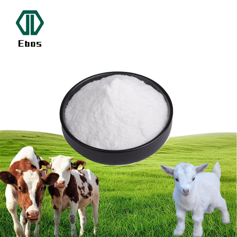 Clostridium Butyricum - Feed Grade For Pet Livestock & Best Price