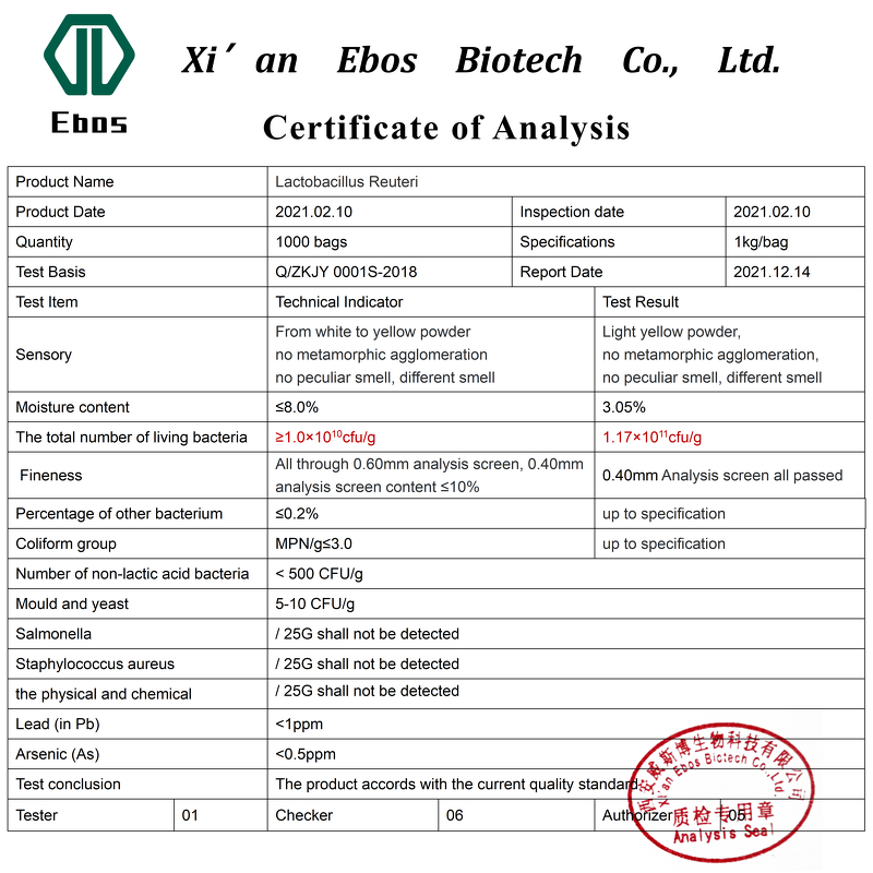 Lactobacillus Reuteri - Freeze-Dried Probiotics Solid Drink Food Grade