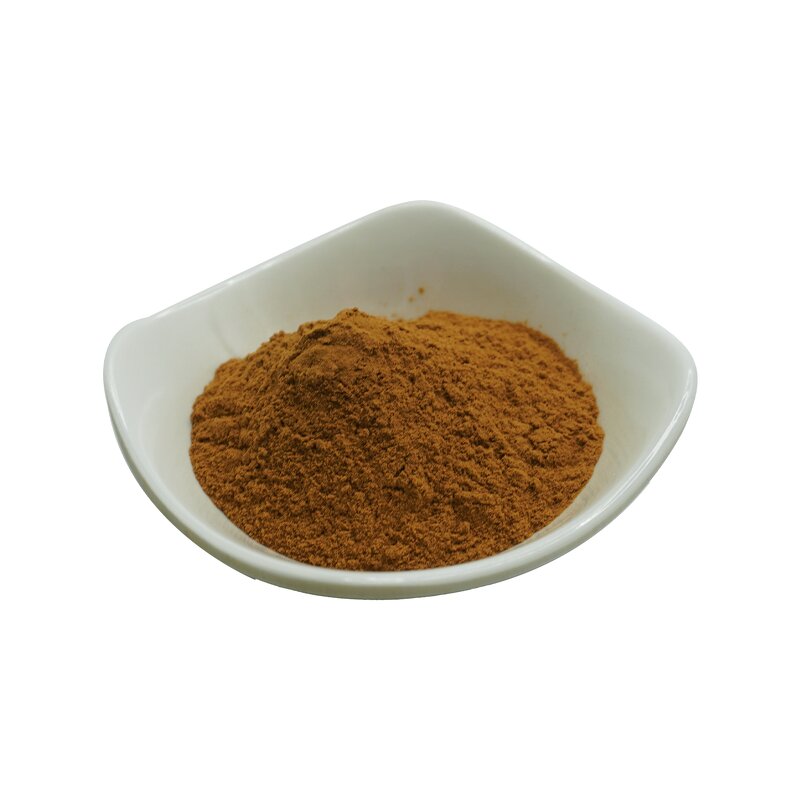Cistanche Extract Powder - Polyphenol & Herbal Cistanche Tubulosa/Deserticola