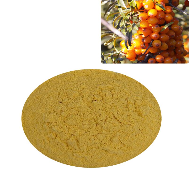 Sea Buckthorn Powder - Freeze Dried Organic Berry & Juice Powder