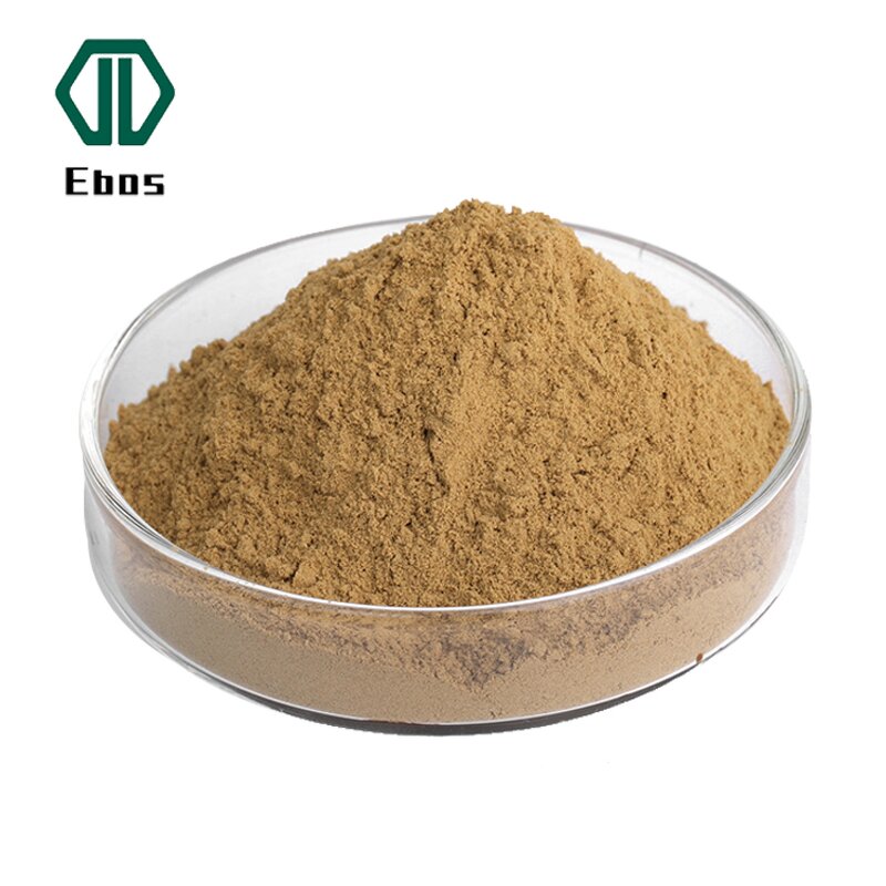Black Truffle Extract Powder - With Polysaccharide & Food Grade