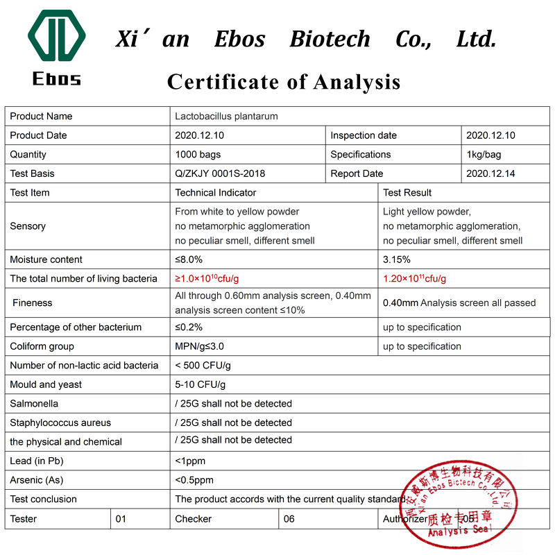 Lactobacillus Plantarum Powder - Food Grade Fermentation Probiotics