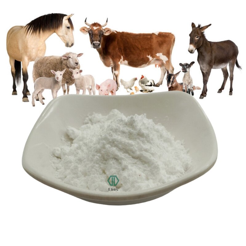 Phytase Enzymes - Feed Grade For Poultry Feed & Bulk Price