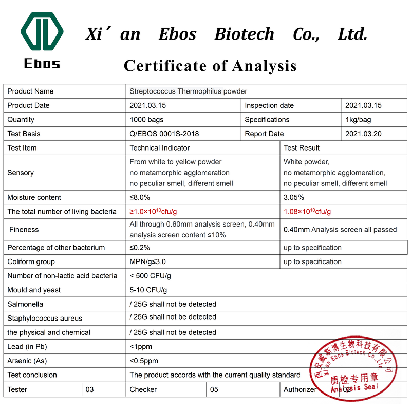 Streptococcus Thermophilus Powder - Food Grade Additive Wholesale