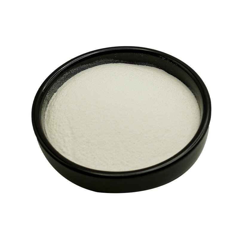 Bifidobacterium Animalis - Bpl1 Bb-12 Genetic Equivalent Wholesale