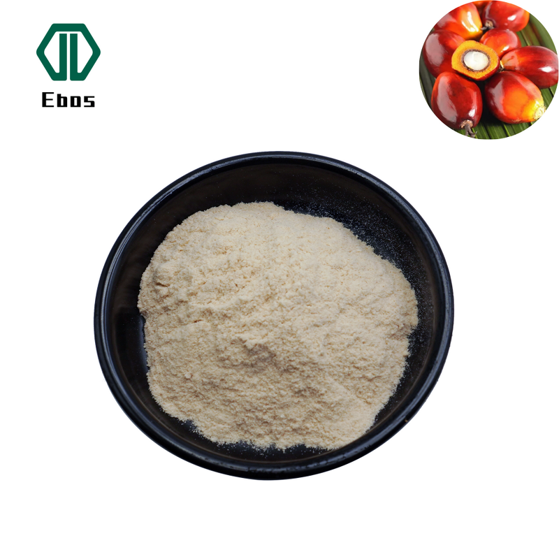 Palm Oil Fiber Powder - Natural Plant Fiber Oil Palm Trunk