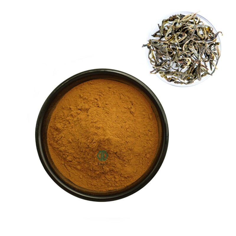 White Tea Extract Powder - Natural Organic