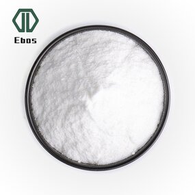 Streptococcus Thermophilus Powder - Food Grade Additive Wholesale