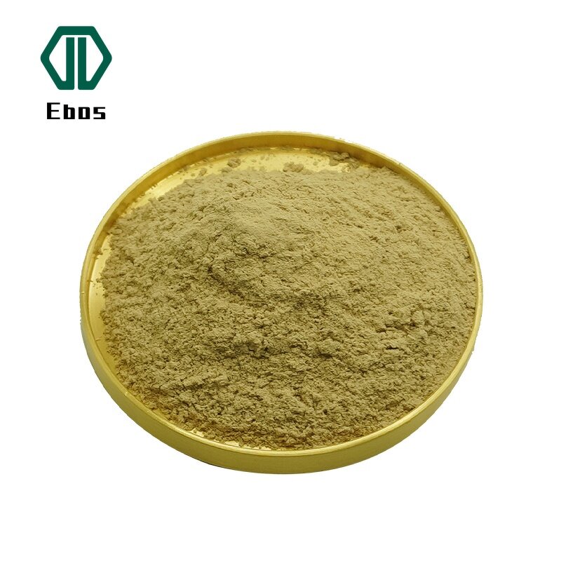Eggplant Powder - 100% Natural Dried & High Quality For Trade
