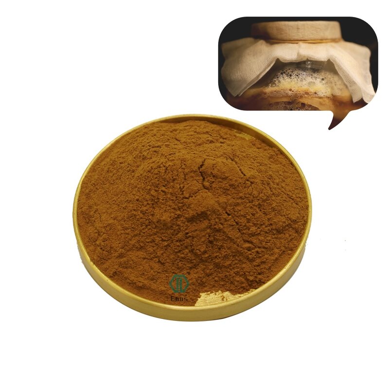 Kombucha Extract Powder - Black Tea Ferment 30%-50% Polysaccharides
