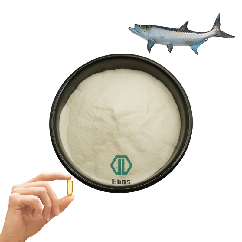 Dha Fish Oil Powder - Marine Fish Extract 27% Dha & Healthcare