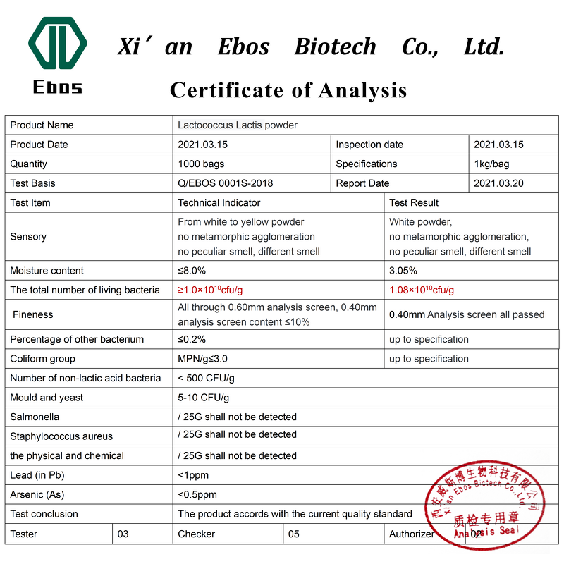 Lactococcus Lactis - Freeze-Dried Probiotics Food Additive Factory Supply