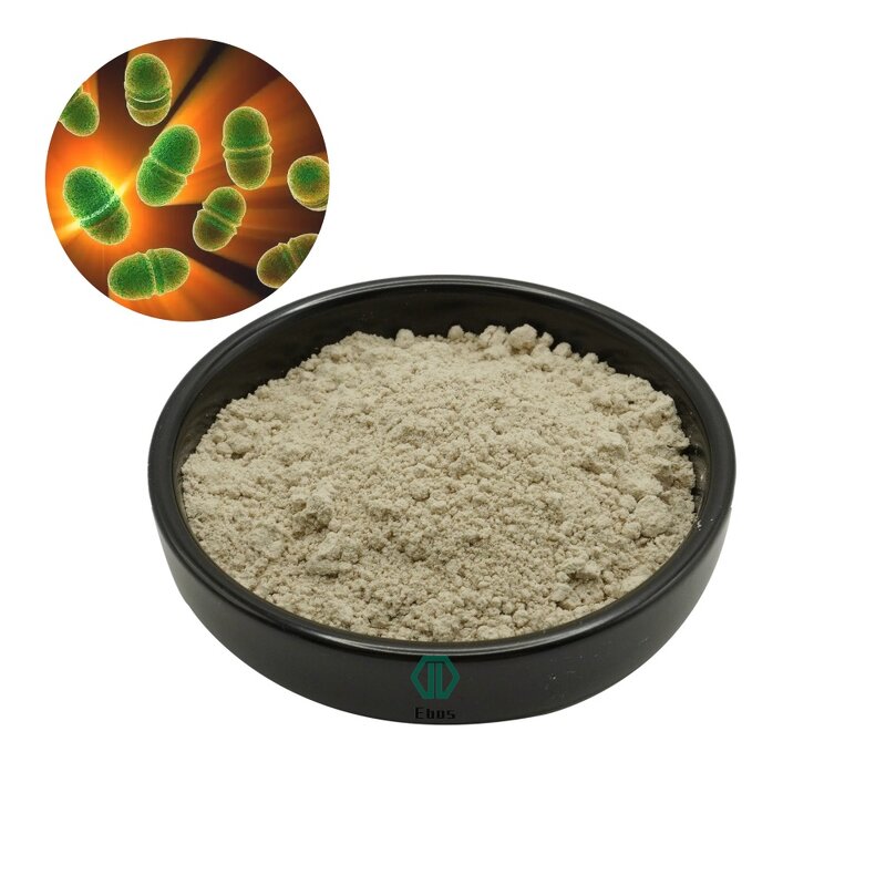 Enterococcus Faecium Powder - Feed Grade Probiotic For Animals & Manufacturer Supply