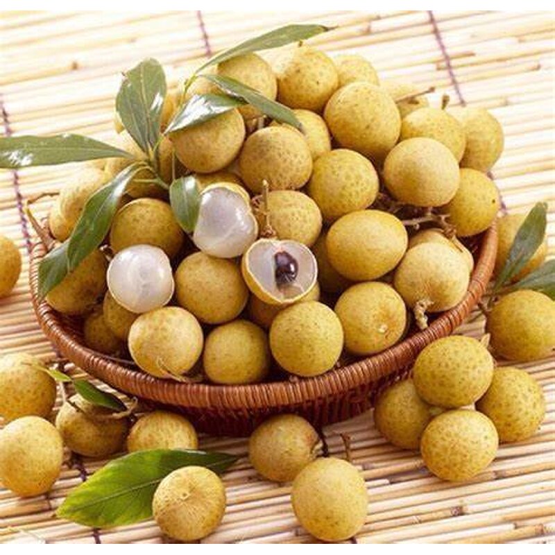 Longan Extract Powder Manufacturer - Pure Nature Longan Fruit Juice Powder
