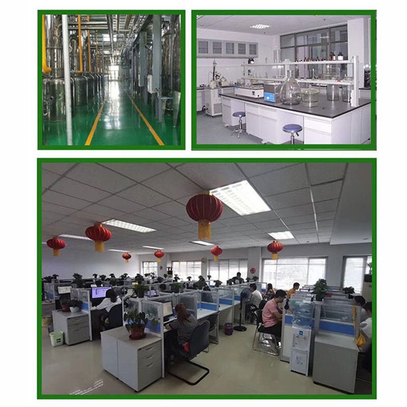 Calcium Alpha Ketoglutarate Powder Manufacturer - High Quality Ca-AKG 98% CAS 71686-01-6