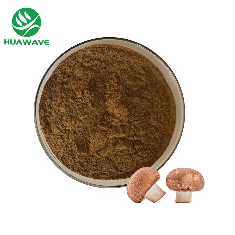 Mushroom Powder Manufacturer - HUAWAVE Supply Food Ingredients Pure Organic for Hot Chocolate