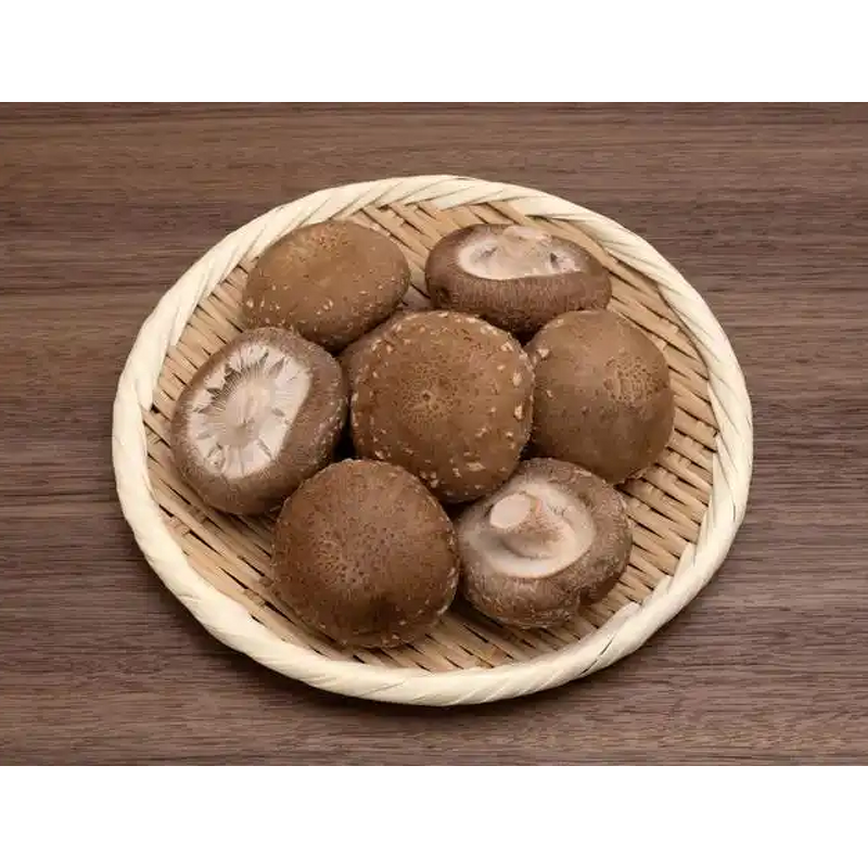 Mushroom Powder Manufacturer - HUAWAVE Supply Food Ingredients Pure Organic for Hot Chocolate
