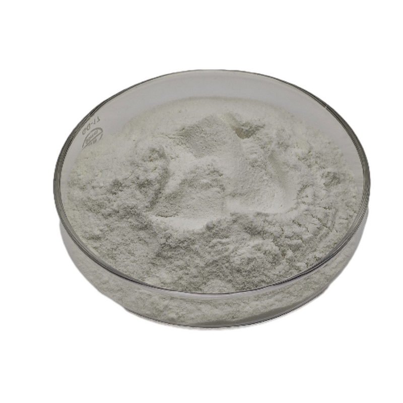 Cucumber Powder Manufacturer - Natural Freeze-dried Vegetable Cucumber Juice Powder