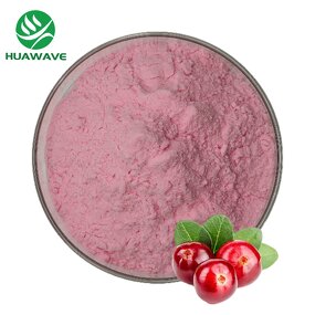 Acai Berry Juice Powder Manufacturer - Bulk Sale Freeze-dried Natural Fruit Powder