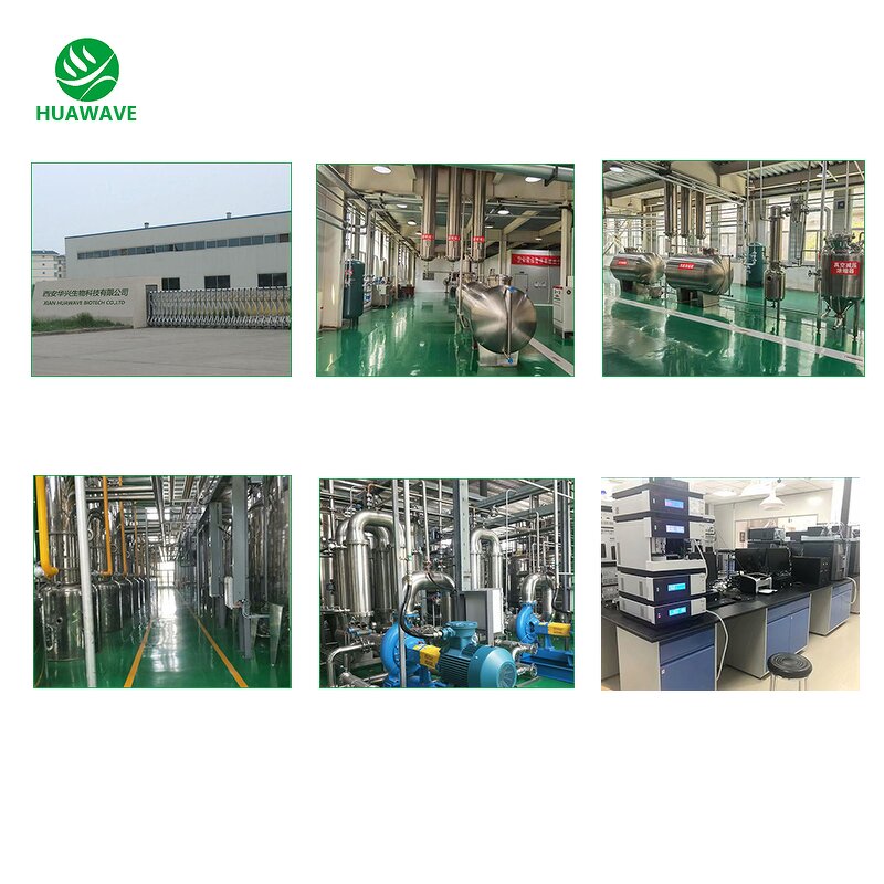 GABA Powder Manufacturer - Bulk Price Food Grade 99% Sleep Supplement 4-Aminobutyric Acid