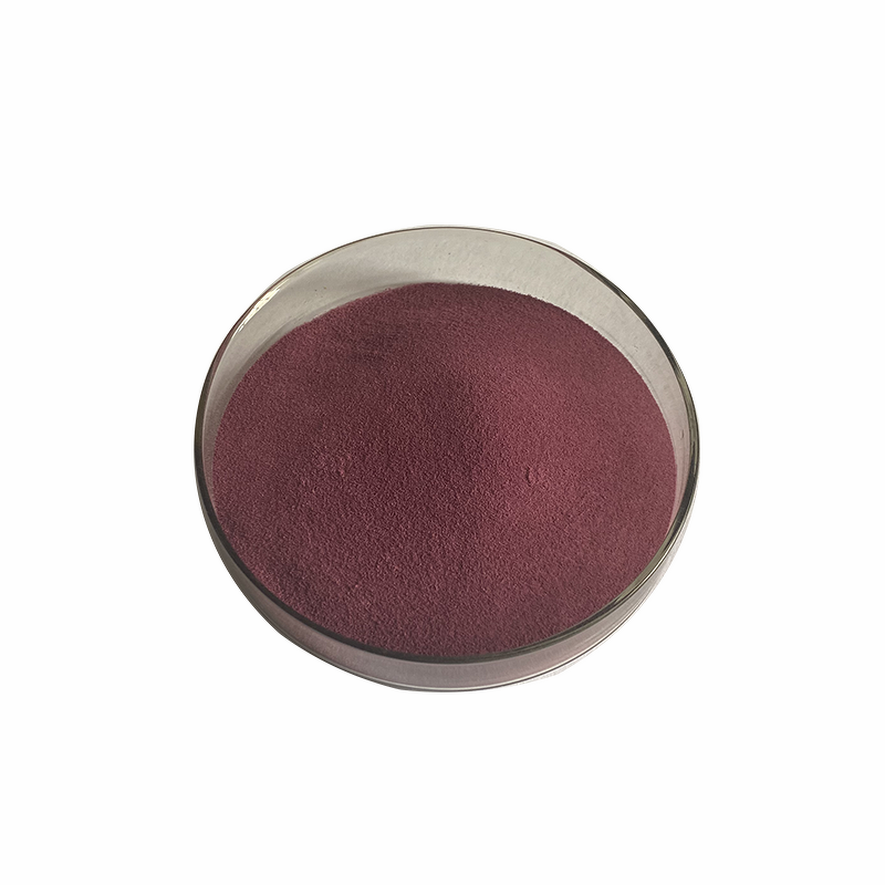 Elderberry Extract Powder Manufacturer - High Quality Natural 25% Anthocyanin