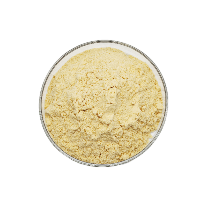 Orange Fruit Powder Manufacturer - Natural Fresh Water Soluble Freeze Dried Juice