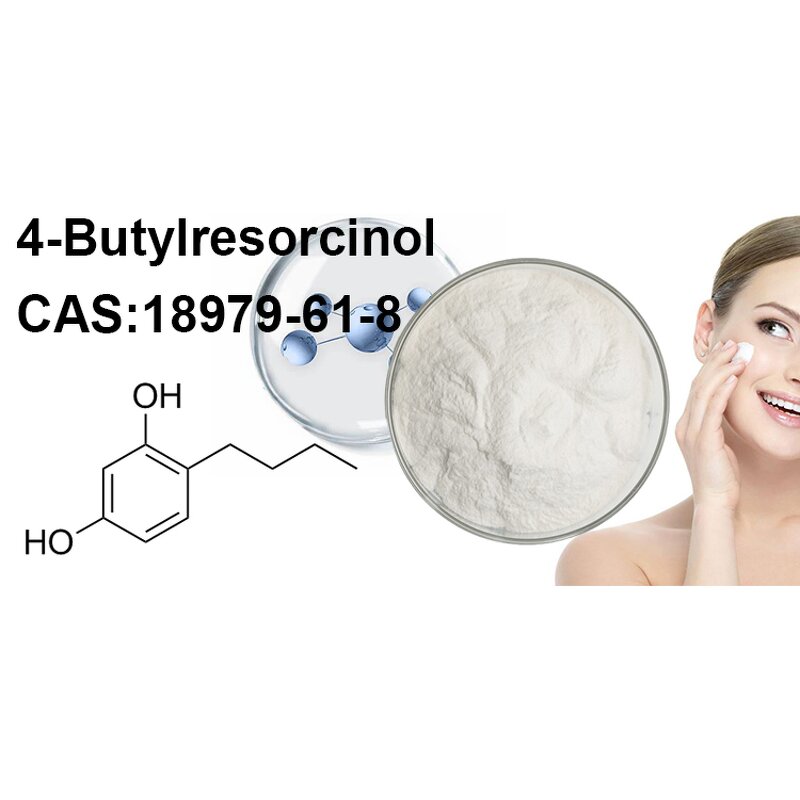 4-Butyl Resorcinol Powder Manufacturer - Wholesale Cosmetic Grade 99% Skin Whitening CAS 18979-61-8
